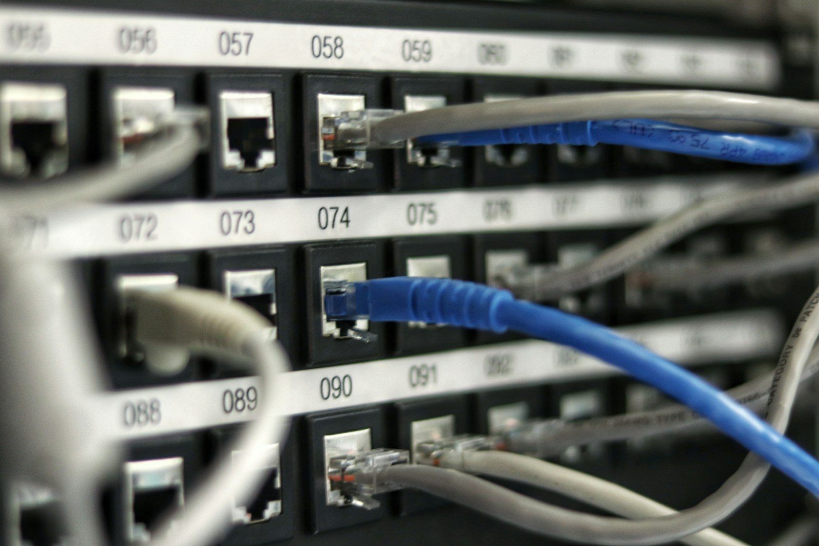 Close-up of network cables plugged into a labeled rack panel
